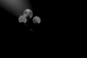 DARLING-1BW