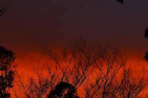 MORNING-2025-137