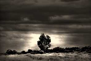OUT-01