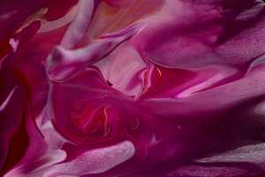 PINK-09