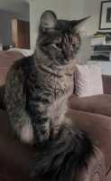 TILLY-08JUNE2026(001)