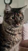 TILLY-08JUNE2026(002)