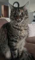TILLY-08JUNE2026(003)