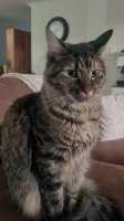 TILLY-08JUNE2026(004)