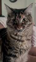 TILLY-08JUNE2026(005)