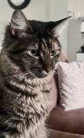 TILLY-08JUNE2026(006)
