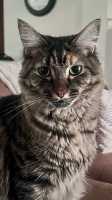 TILLY-08JUNE2026(007)
