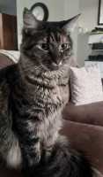 TILLY-08JUNE2026(008)
