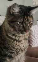TILLY-08JUNE2026(009)