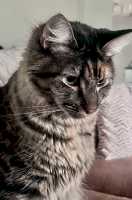 TILLY-08JUNE2026(010)