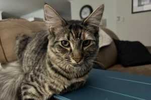 TILLY-10OCT2025(2)