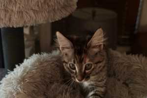 Tilly-2025-01