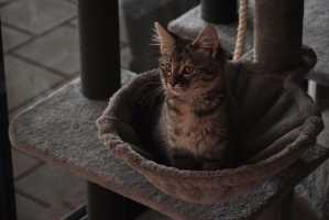 Tilly-2025-02