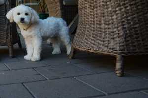 MOLLY-2018-03