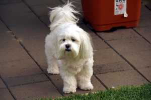 MOLLY-2021-019
