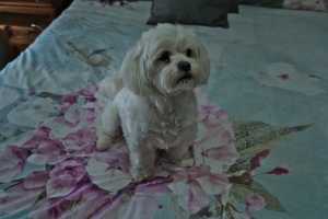 MOLLY-7JULY2022-936