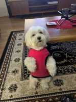 MOLLY-JULY2024-01