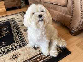 MOLLY-JULY2024-3