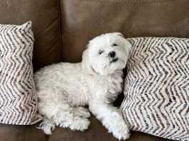 MOLLY-JUNE-2024-01