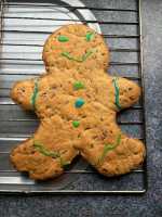 VERA-COOKIE(001)