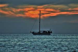 WALLAROO_0002